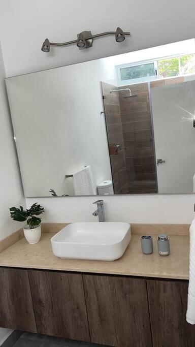 テミスコ Residencia Corinto La Cima Frac Burgos Bugambiliasヴィラ エクステリア 写真